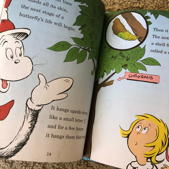 De Seuss Cat in the Hat. My oh my - a butterfly! - Picture 3 of 9